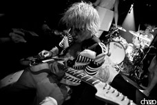 photos du groupe de musique Bonaparte