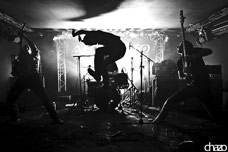 photos du groupe de musique The Marxmallows