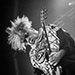 Melvins - 17-06-2016 @ Hellfest