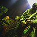 Lordi 03-03-2020 @ Le Bikini