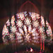 Saaad (12 HEURES DU GES) 17-05-2025 @ glise du Ges