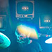 Karkara&nbsp;04-06-2026&nbsp;@&nbsp;Le Rex
